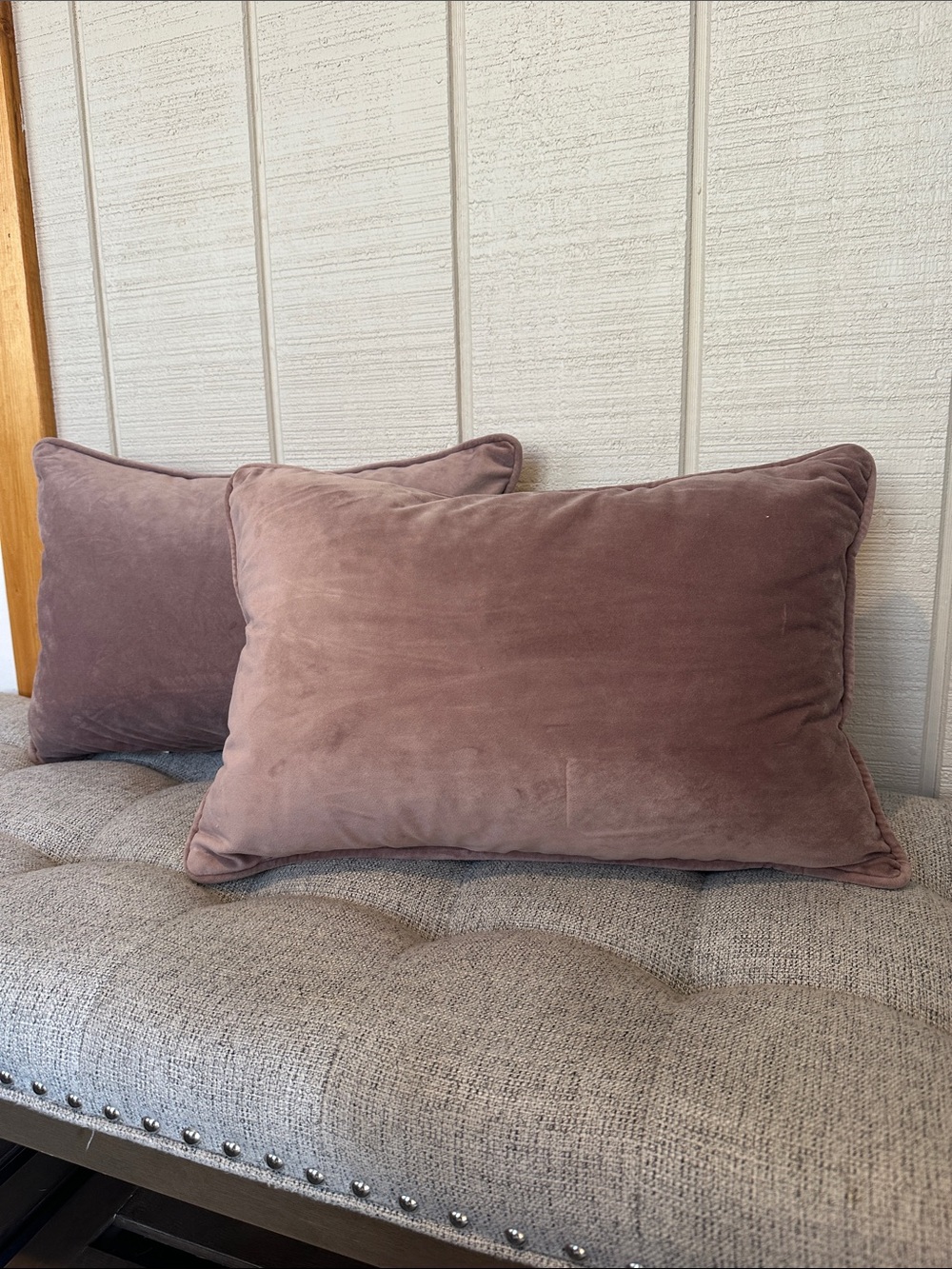 Plush Velvet Throw Pillows (set of 2)